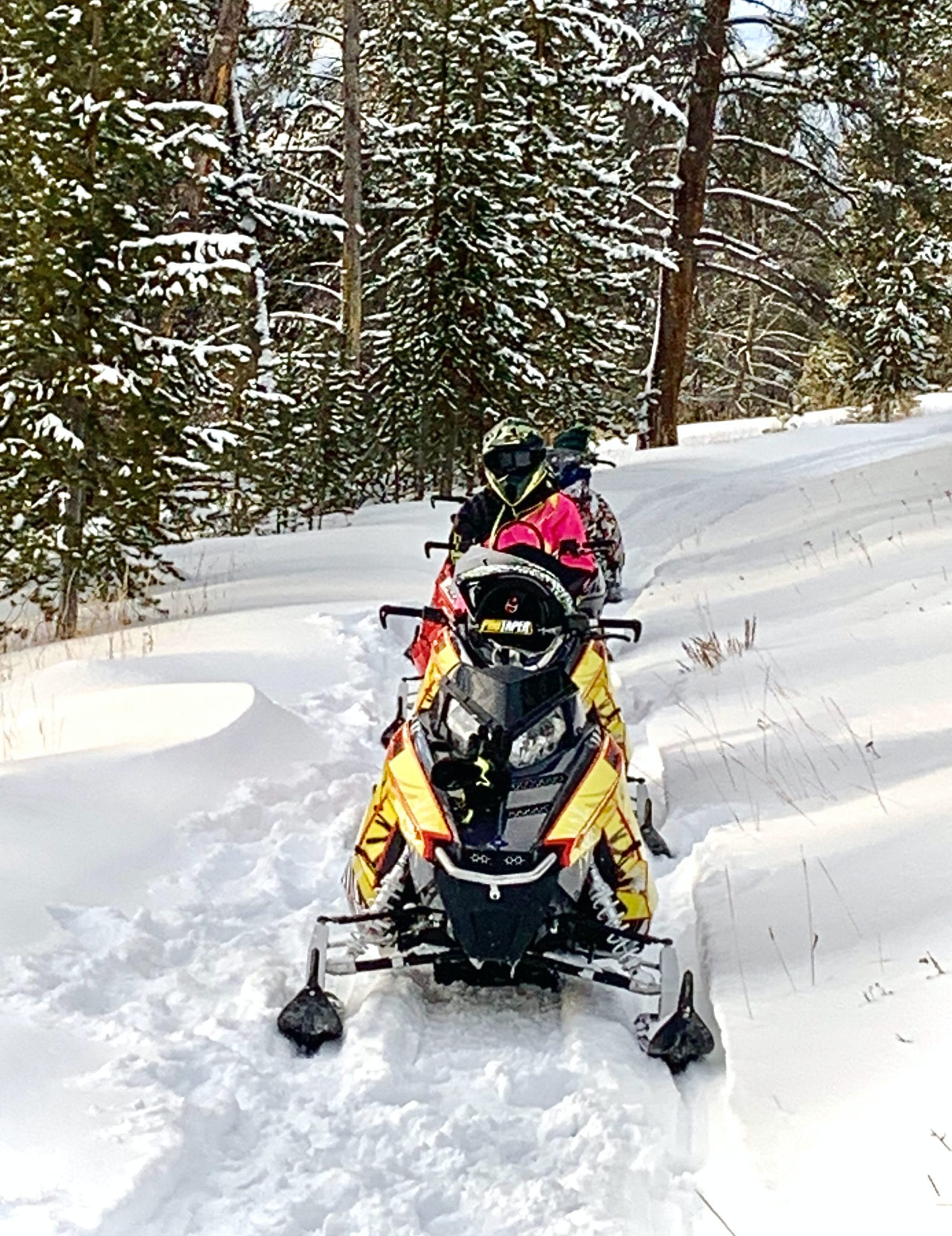 Montana Snowmobile Rentals And Tours‎ Montana High Country